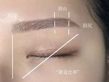 ミエレ(miele)/黄金比率/骨格診断/アイブロウ