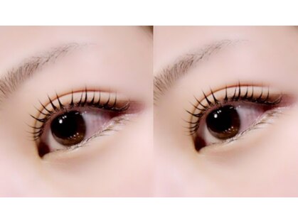 ニーム(NEEM)の写真