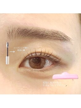 ビオラス(Biolus)/まつげパーマ/ラッシュリフト