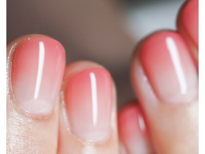 プラム(Plum)の写真