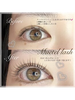 ホワイトカメリア 梅田茶屋町店(White Camellia)/まつ毛パーマ/マツエクサロン