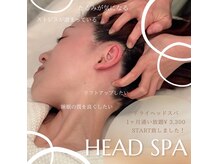 ポーデベロア(Peau des velours)の雰囲気（エステティシャンによるヘッドスパ！今なら1ヶ月通い放題開催中）