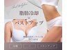 《期間限定》【ふっくらバストxお腹スッキリ】ＩＢＥ+脂肪冷却2cup 77000→