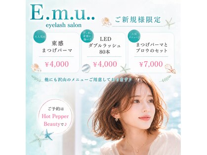 エミュ(E.m.u..)の写真