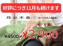 美 アンジュ(美 ange)