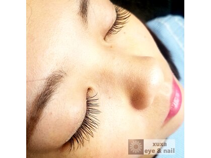 シューシャ(xuxa)の写真