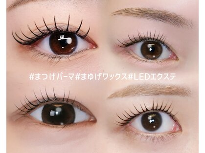 楚々の写真