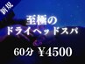 【平日限定】至極のドライヘッドスパコース 60分　¥4500（カウンセリング込）