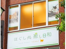 癒し日和 プラスにゃんこ 行徳店