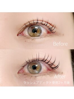 凛/目元美人/まつげパーマ/まつげ