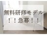 ★無料研修モデル募集★ 痩身/BODY/小顔矯正/毛穴洗浄　【学割U24】歓迎