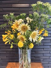 ヴィオラス(VIOLUS)/