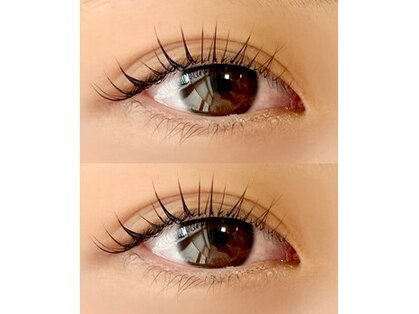 ラルゴ(LARGO)の写真