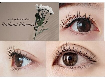 ブリリアントフェニックス(Brilliant Phoenix)の写真