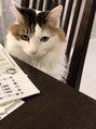 スモール フェアリー(Small Fairy) 動物は猫がすきです！