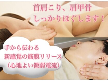 桜香(ほのか)の写真