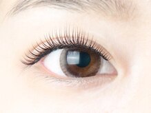 ダブリューアイキャンディー(W eye candy)/フラットラッシュ120本 マツエク