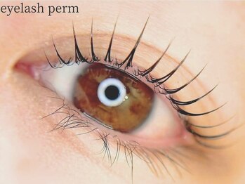 マツエク専門店 LUMISS土浦店［LEDマツエク/フラットラッシュ］【3/1 OPEN(予定)】/LUMISS土浦店/まつげパーマ