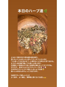 ララルアナ(Lara luana)/選んだハーブで整うよもぎ蒸し