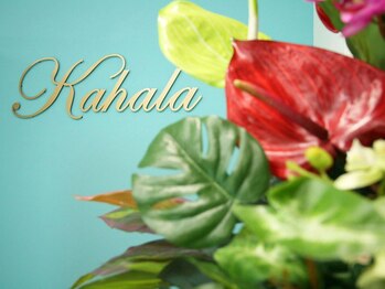 カハラ 荻窪店/店内はハワイアンミュージック♪