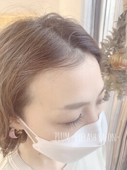 プラム(PLUM)/140本