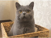 ミネット(nail Minette)/癒し空間☆プライベートサロン