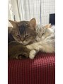 全力ストレッチ 三軒茶屋店&nbsp;家に猫ちゃん2匹います♪うちの子可愛過ぎませんか(^^)？