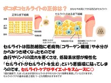 ソルティ 寺田町(Salty)/☆セルキュムの流れをご紹介☆