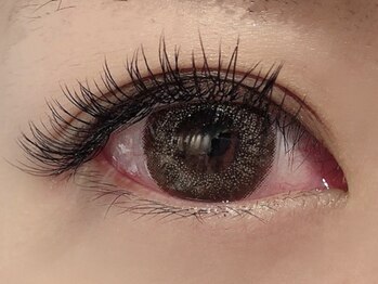 カラン 焼津店(CALIN)/フラットラッシュ160本