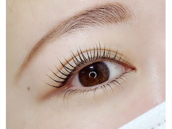 ラビッシュ(La’Bish)/ラッシュリフト上下