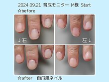 アスネイル(As nail)/育成開始！
