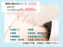 ケーナイン(K-nine)