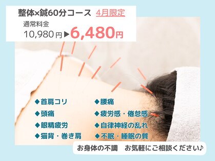 ケーナイン(K-nine)の写真