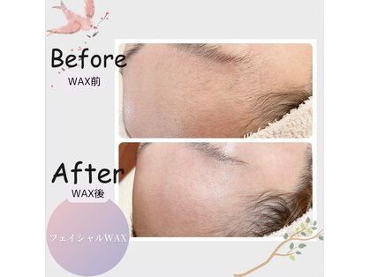 アイリス(Iris)の写真