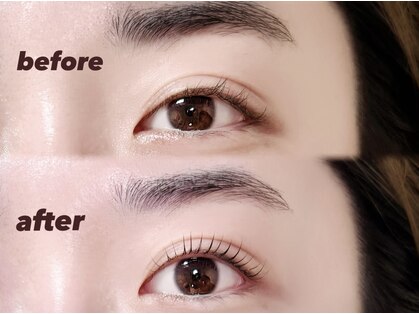 エルフ(elf)の写真