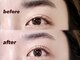 エルフ(elf)の写真