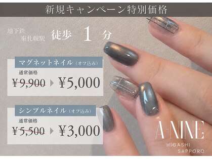 ネイルサロン エーナイン イオン東札幌店の写真