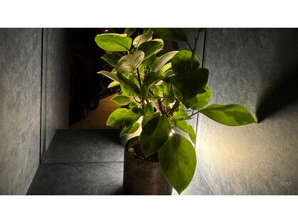 ヨモ 湘南藤沢店(YOMO)の写真