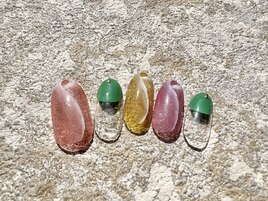 3月定額デザイン　チューリップ