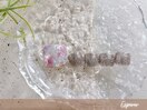 *Fトレンドネイル* 25/05