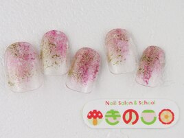 選べるデザインＳコース