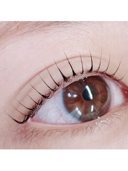 デイジー(Daisy)/*まつ毛パーマ*