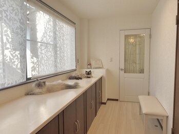 アリスビューティー(AliceBeauty)/サロン風景