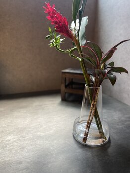 ブラックボックス(BLACK BOX)/BLACKBOXのお花