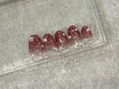 【パラジェル Bコース】