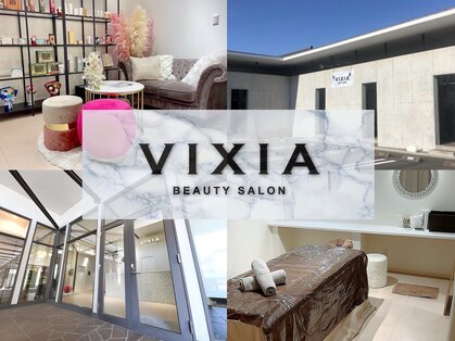 ヴィクシア(VIXIA)の写真