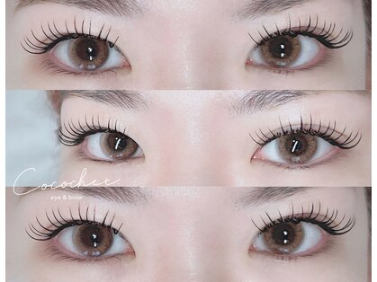 ココシェ(Cocochet)の写真
