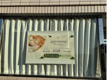 ガジュマルの雰囲気（こちらの看板が目印です）