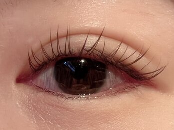 レミア 関内(REMIA)/7月　ダークブラウン