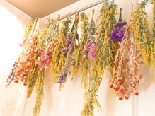 esthetic salon mimosa【３月８日NEW OPEN】/ミモザや可愛い花で彩られた店内